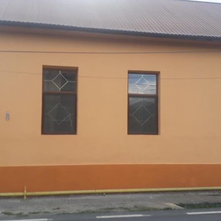 ホテル Casa Ovi Si Simo Haţeg エクステリア 写真