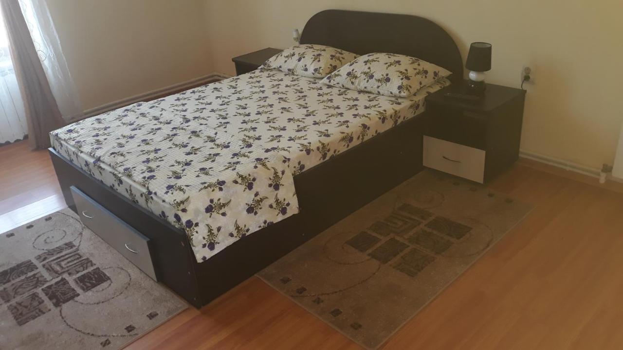 ホテル Casa Ovi Si Simo Haţeg エクステリア 写真