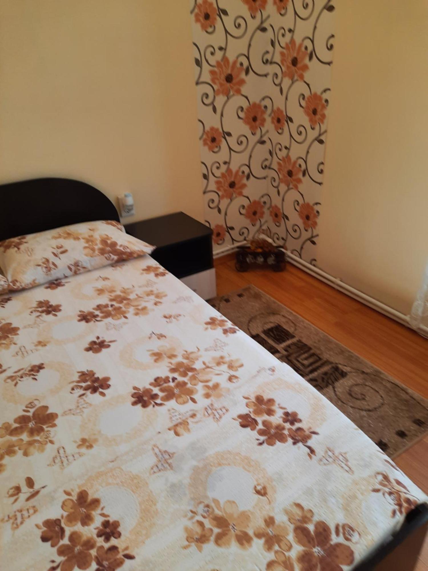 ホテル Casa Ovi Si Simo Haţeg 部屋 写真