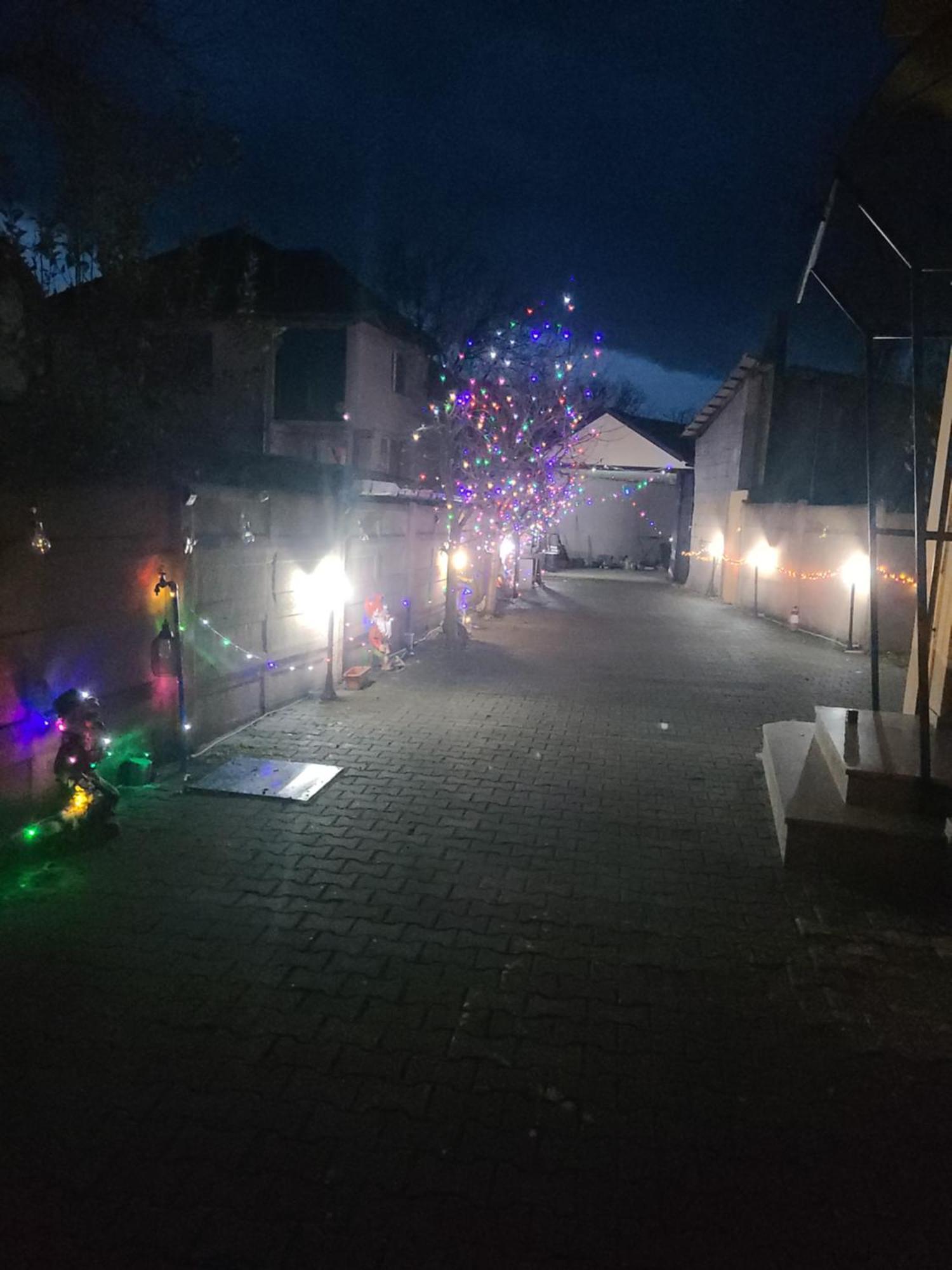ホテル Casa Ovi Si Simo Haţeg エクステリア 写真