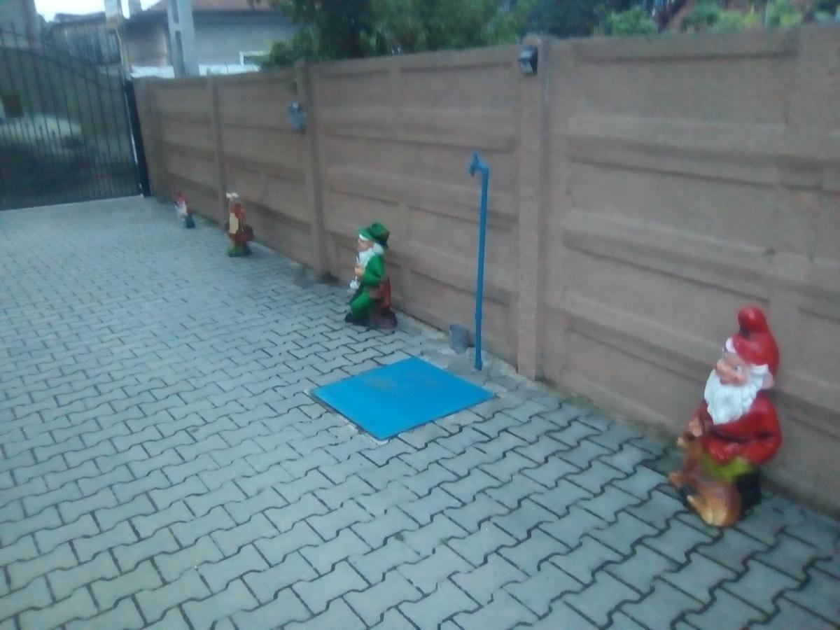 ホテル Casa Ovi Si Simo Haţeg エクステリア 写真