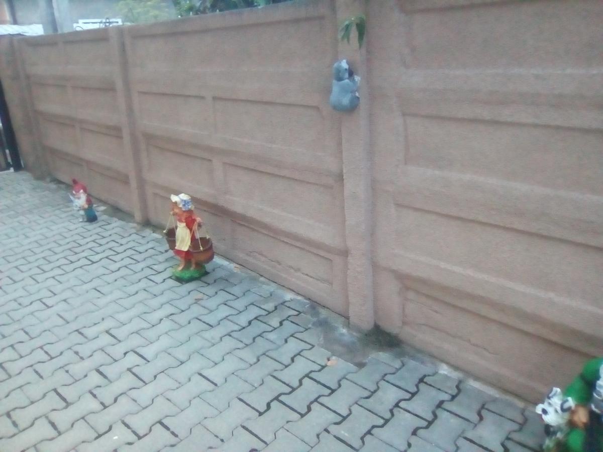 ホテル Casa Ovi Si Simo Haţeg エクステリア 写真