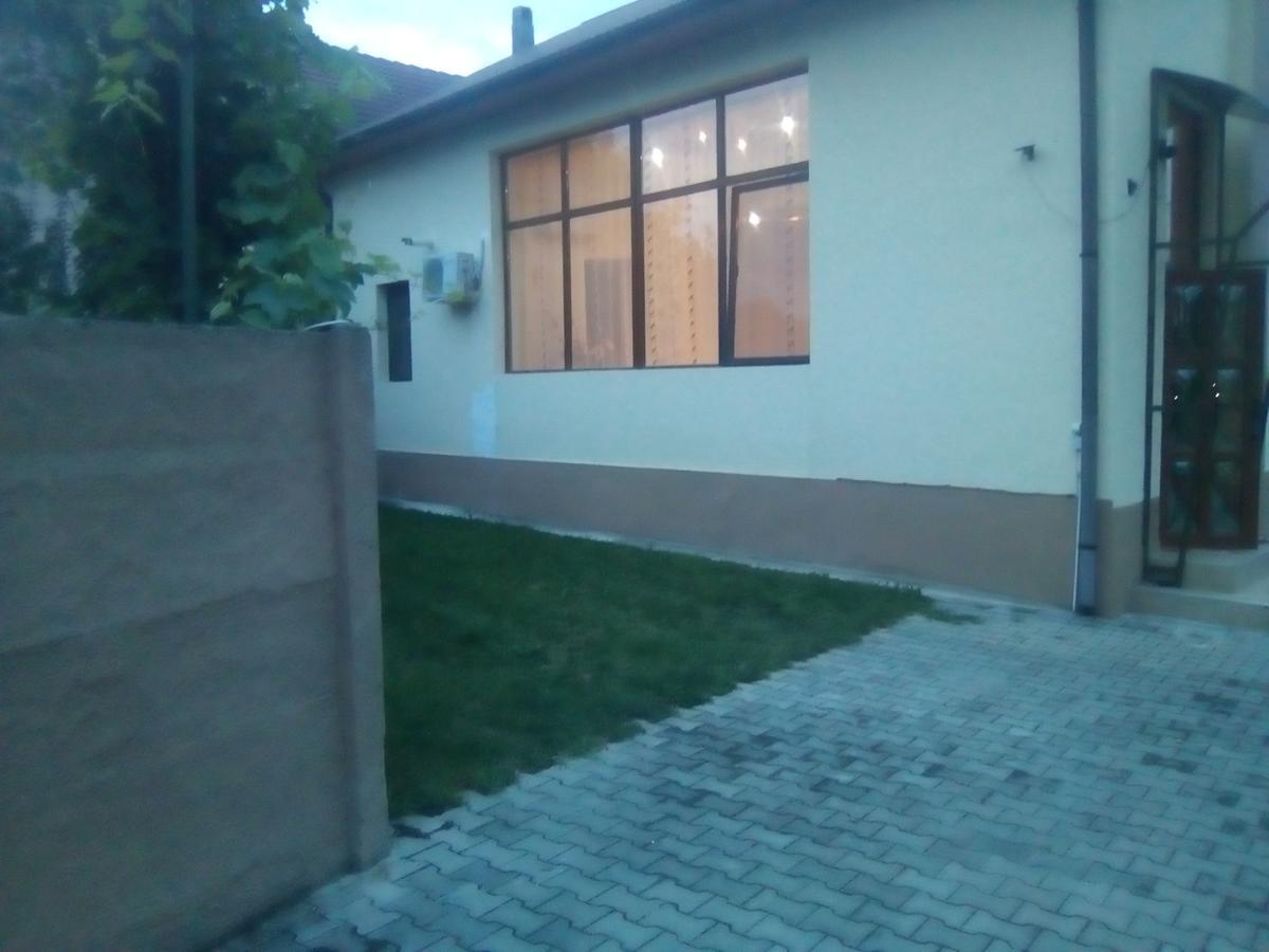 ホテル Casa Ovi Si Simo Haţeg エクステリア 写真