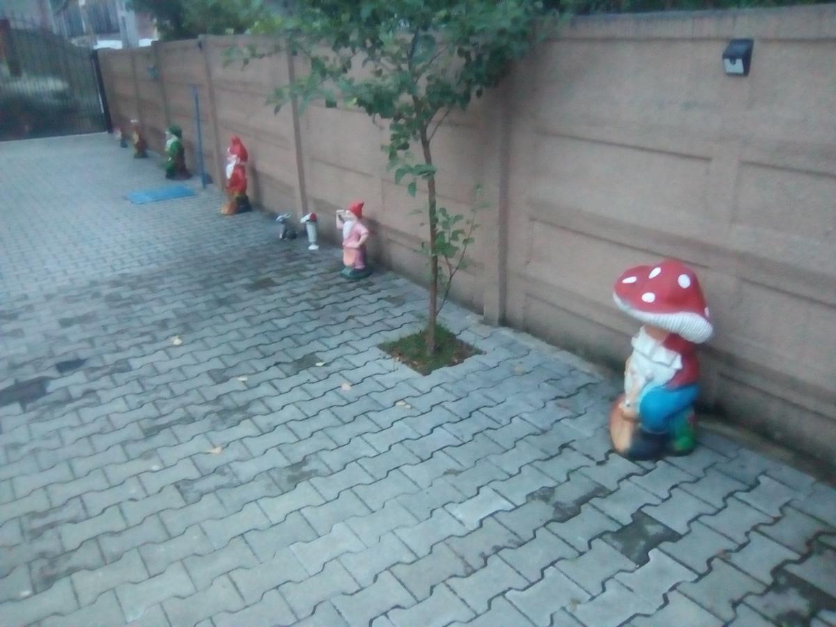 ホテル Casa Ovi Si Simo Haţeg エクステリア 写真