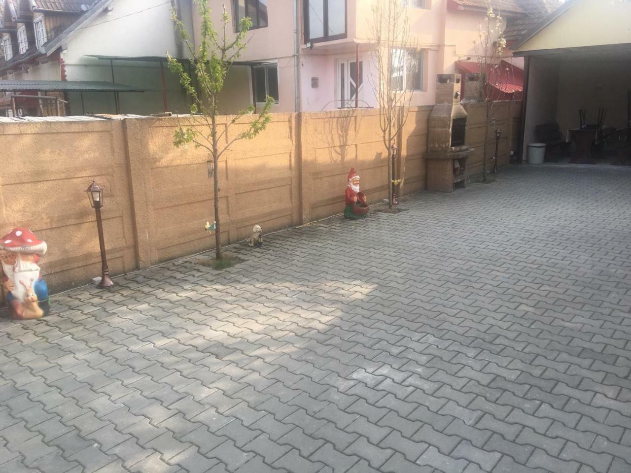 ホテル Casa Ovi Si Simo Haţeg エクステリア 写真