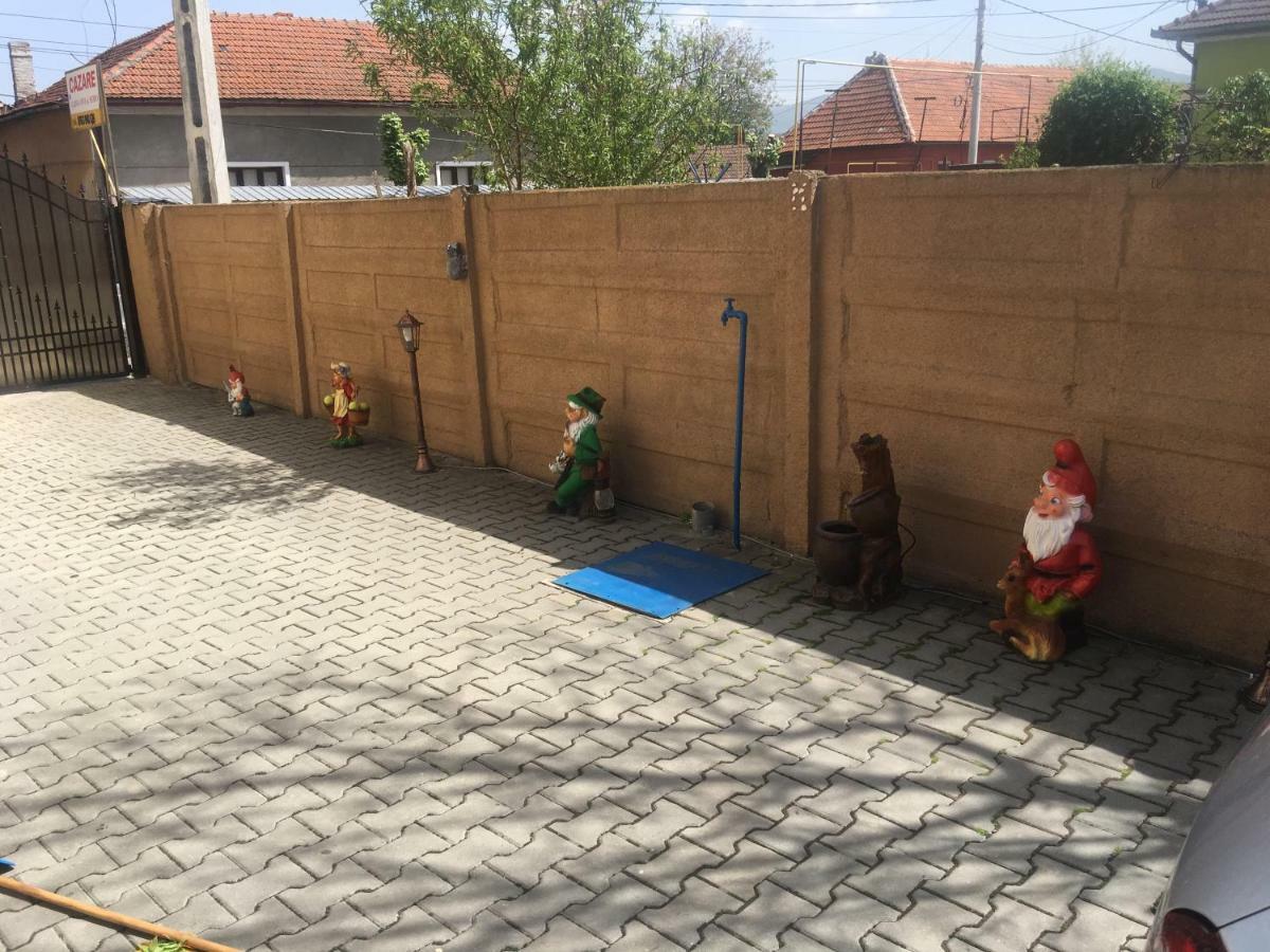 ホテル Casa Ovi Si Simo Haţeg エクステリア 写真