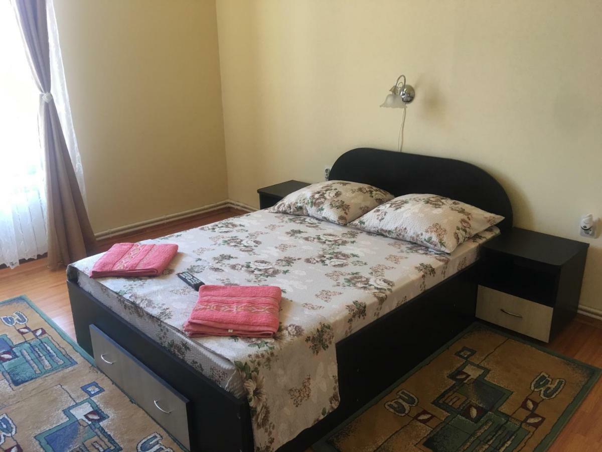 ホテル Casa Ovi Si Simo Haţeg エクステリア 写真