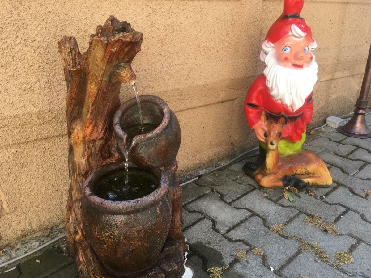 ホテル Casa Ovi Si Simo Haţeg エクステリア 写真