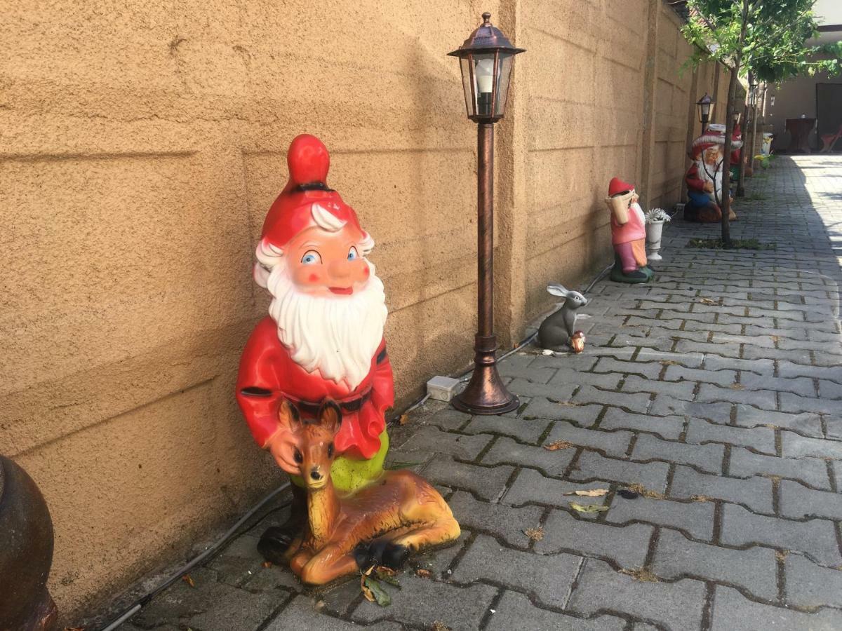 ホテル Casa Ovi Si Simo Haţeg エクステリア 写真