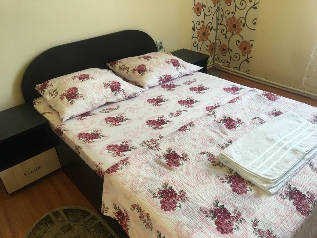 ホテル Casa Ovi Si Simo Haţeg エクステリア 写真