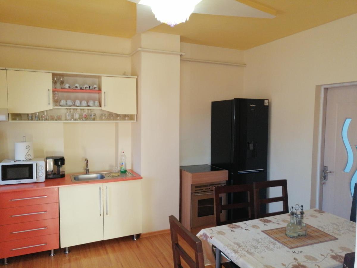 ホテル Casa Ovi Si Simo Haţeg エクステリア 写真