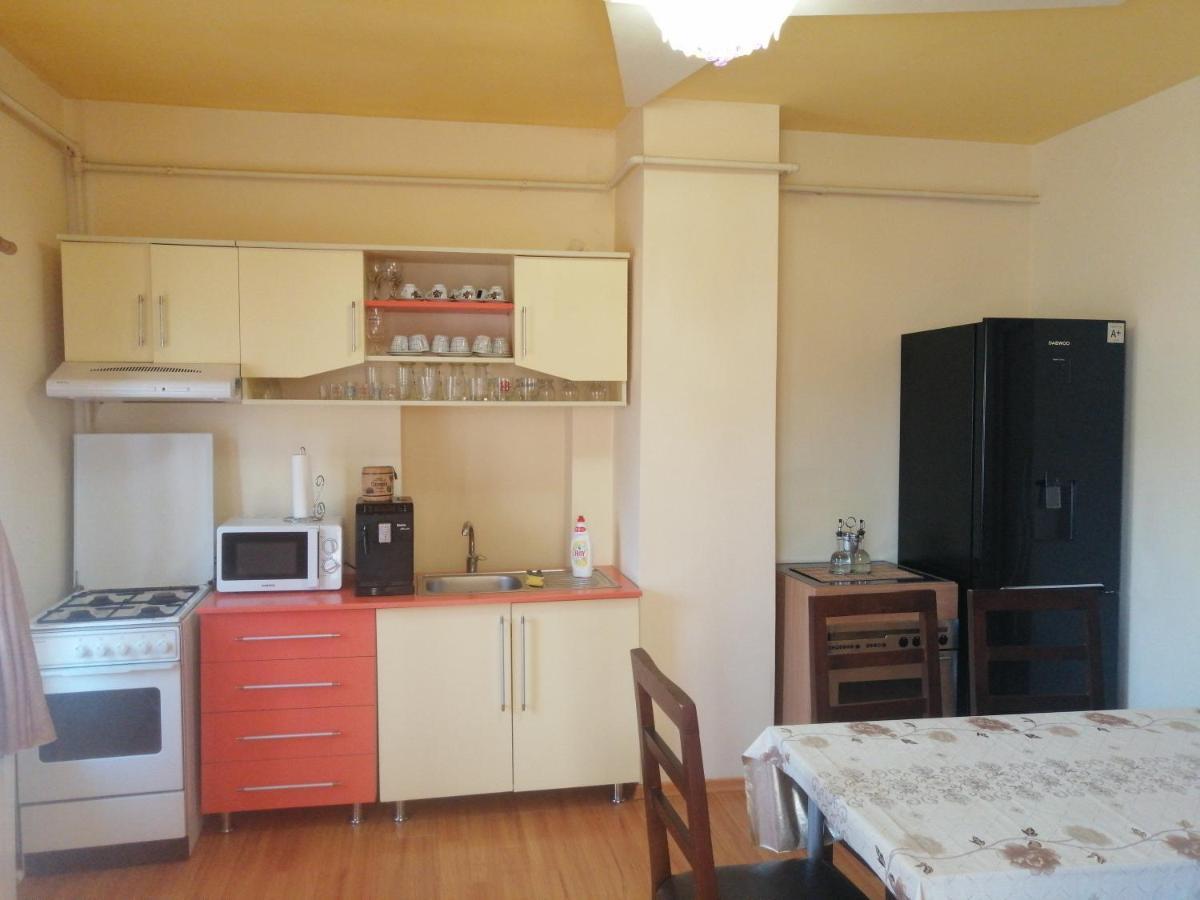 ホテル Casa Ovi Si Simo Haţeg エクステリア 写真